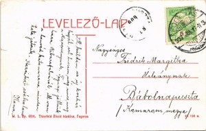 1909 Fogaras, Fagaras; Vármegye közkórháza. W. L. Bp. 6091. Thierfeld Dávid kiadása / hospital (szakadás / tear...