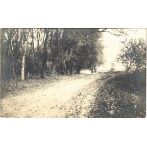 1912 Gyorok, Ghioroc; erdő, lovaskocsi / forest road, horse cart. photo