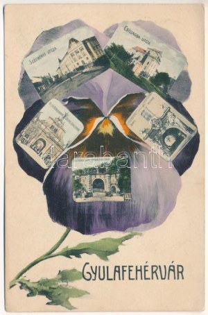 1910 Gyulafehérvár, Alba Iulia; Széchenyi utca, Csillagda utca, obszervatórium, Felső és Alsó Károly-kapu, Újkapu...