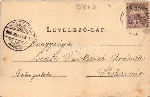 1900 Gyulafehérvár, Karlsburg, Alba Iulia; Erstes Festungsthor, Karlsthor / Első várkapu és Károly kapu...