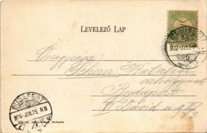 1906 Herkulesfürdő, Baile Herculane; Ferenc József udvar. Divald Károly 902. sz. / Franz-Josef-Hof / spa, bathhouse...