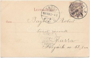 1900 Jegenye, Leghia (Kolozs); Jegenye fürdő, kastély, villa. Dunky Fivérek cs. és kir. udvari fényképészek 7974. / spa...
