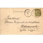 1904 Karánsebes, Caransebes; Ferenc Nándor tér, gyógyszertár / square, pharmacy (EK)