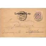 1899 Karánsebes, Caransebes; Hotel zum grünen Baum, Post, Isr. Tempel u. Umgebung, H. Rosenfelds Geschaftslocale ...
