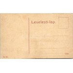 Máramarossziget, Sighetu Marmatiei; Groedl villa. No. 244. (W.L. ?) / villa