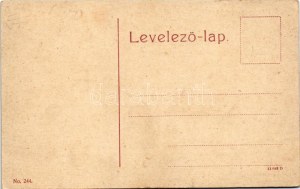 Máramarossziget, Sighetu Marmatiei; Groedl villa. No. 244. (W.L. ?) / villa