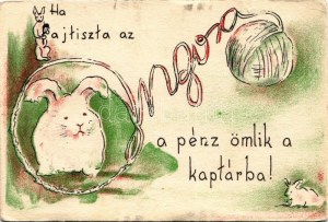 Marosvásárhely, Targu Mures; Ha fajtiszta az angora, a pénz ömlik a kaptárba...