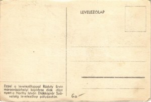 Marosvásárhely, Targu Mures; Ha fajtiszta az angora, a pénz ömlik a kaptárba...