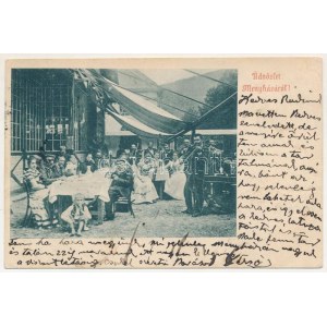 1900 Menyháza, Monyásza, Moneasa; vendéglő, étterem kertje vendégekkel és zenészekkel ...