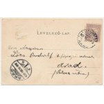 1900 Menyháza, Monyásza, Moneasa; vendéglő, étterem kertje vendégekkel és zenészekkel ...