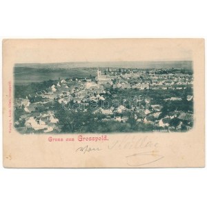 1899 Nagyapold, Grosspold, Apoldu Mare, Apoldu de Sus; látkép. Andr. Glatz kiadása / general view (EK...