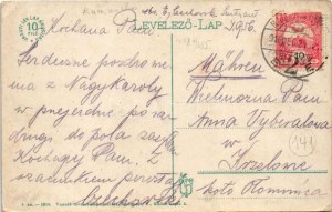 1916 Nagykároly, Carei; Deák Ferenc tér, Pucser Károly, Klein József, Janitzky Albert, Rubletzky Ignác, Kovács György...
