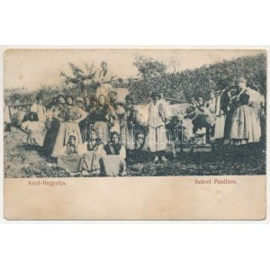 Ópálos, Ó-Pálos, Ópaulis, Paulis (Arad-Hegyalja); szüret ökrökkel, erdélyi folklór / harvest with oxen...