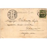 1904 Segesvár, Schässburg, Sighisoara; látkép. Teutsch F. kiadása. A képeslap címzettje Szádeczky Lajos egyetemi tanár ...