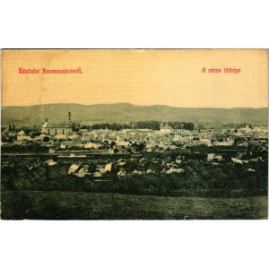 Szamosújvár, Gherla; látkép, vasútállomás, vagonok. W.L. 1879. / general view, railway station, wagons (fl...