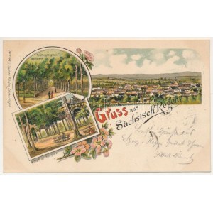 1900 Szászrégen, Reghin; Haupteingang zum Stadtpark, Festhalle. Gustav Rösler No. 1798. / főbejárat a parkba, csarnok ...