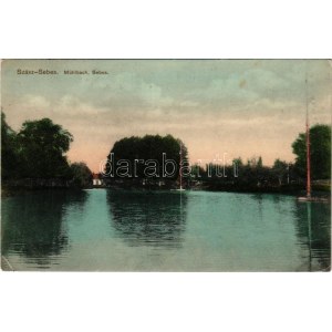 1912 Szászsebes, Mühlbach, Sebesul Sasesc, Sebes; Városliget, tó. A. Gross kiadása / park, lake (EK...