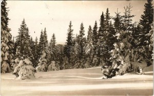 Szebenjuharos, Hohe Rinne, Paltinis (Nagyszeben, Sibiu); Padure iarna. S.C.a.T. Sectia Sibiu Ortsgruppe Hermannstadt S...