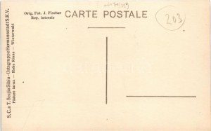Szebenjuharos, Hohe Rinne, Paltinis (Nagyszeben, Sibiu); Padure iarna. S.C.a.T. Sectia Sibiu Ortsgruppe Hermannstadt S...