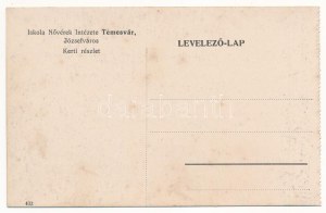 Temesvár, Timisoara; Józsefváros, Iskola Nővérek Intézete, kerti részlet / Iosefin, girl boarding school, garden (fl...