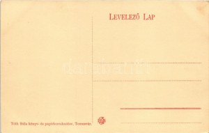 Temesvár, Timisoara; Szeminárium, villamos, Gresham kávéház, Tóth Béla üzlete és saját kiadása / seminary, tram, shops...