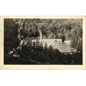 Tomest, Tamásd, Tomesti; látkép, gyár / view, factory (kis szakadás / small tear)