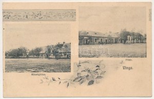 1911 Vinga, Községháza, Fő tér, Kaufmann üzlete / town hall, main square, shops. Art Nouveau, floral (fl...