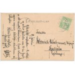 1911 Vinga, Községháza, Fő tér, Kaufmann üzlete / town hall, main square, shops. Art Nouveau, floral (fl...