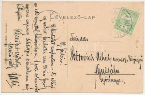 1911 Vinga, Községháza, Fő tér, Kaufmann üzlete / town hall, main square, shops. Art Nouveau, floral (fl...
