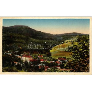 1934 Bártfa, Bártfafürdő, Bardejovské Kúpele, Bardiov, Bardejov; Panorama / látkép. Viktor Neumann kiadása ...