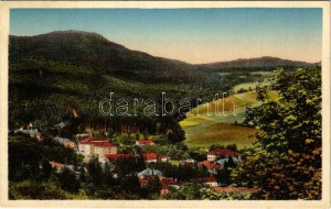 1934 Bártfa, Bártfafürdő, Bardejovské Kúpele, Bardiov, Bardejov; Panorama / látkép. Viktor Neumann kiadása ...