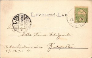 1903 Bártfafürdő, Bardejovské Kúpele, Bardiov, Bardejov; Erzsébet királyné (Sissi) szobor, Donáth Gyula műve...