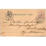 1899 Bazin, Bösing, Bözing, Pezinok; Fő tér, Vasfürdő, templom / Eisenbad / main square, church, spa...