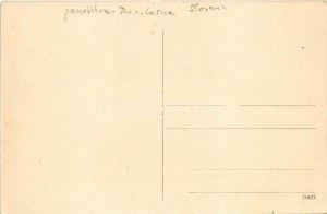 Dénesd, Schildern, Jánosíková (Dénesdtorcsmisérd, Dunajská Luzná); Római katolikus iskola, Hosszú utca, zárda / Röm...