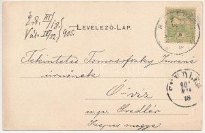 1905 Eperjes, Presov; Gubcsó-féle kávéház és cukrászda belseje, biliárdasztalok / café and confectionery...