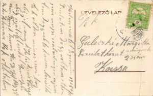 1915 Feled, Veladín; pályaudvar, vasútállomás, gőzmozdony, vonat / railway station, locomotive, train (fa...