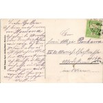 1914 Homonna, Homenau, Humenné; Andrássy Sándor gróf várkastélya, tórészlet. Hossza Gyula kiadása ...