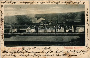 1903 Kassa, Kosice; Franck kávépótló gyár. Nyulászi Béla kiadása / Franck coffee substitute factory (fl...