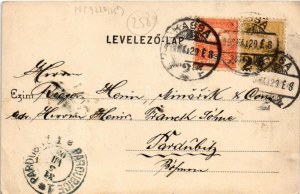 1903 Kassa, Kosice; Franck kávépótló gyár. Nyulászi Béla kiadása / Franck coffee substitute factory (fl...