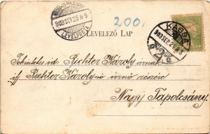 1903 Kassa, Kosice; Rákóczi ereklyekiállítási palota zászlókkal. Nyulászi Béla kiadása / palace of the Rákóczi...