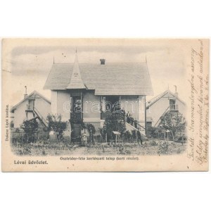1904 Léva, Levice; Osztrider-féle kertészeti telep, kerti részlet. Dukesz Lipót kiadása / horticultural farm, garden ...