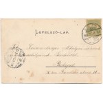 1904 Léva, Levice; Osztrider-féle kertészeti telep, kerti részlet. Dukesz Lipót kiadása / horticultural farm, garden ...