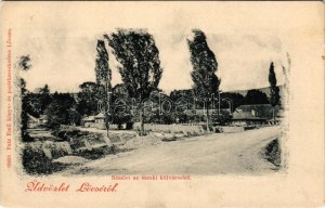 Lőcse, Levoca; Részlet az északi külvárosból. Patz Emil kiadása / suburban, street (EK)
