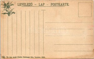 Lőcse, Levoca; Városháza, tanácsterem, belső. Feitzinger Ede No. 955. 1905. / Rathaus, Sitzungssaal / town hall...