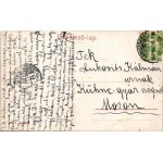 1909 Nagyszombat, Tyrnau, Trnava; Ferenc József tér a színházzal, Bauer Károly üzlete, piac, Szentháromság szobor. W.L...