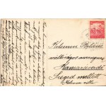 1917 Nyitra, Vármegye utca, gyógyszertár, üzlet, Singer varrógép reklám. Huszár István kiadása / street view, shop...