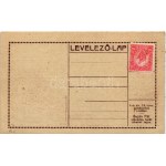 1918 Pozsony, Pressburg, Bratislava; Honvédnap a pozsonyi Duna parton a M. kir. 13...
