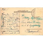 1909 Pöstyén, Piestany; Király sor, nyaralók, villák. Kohn Bernát kiadása / Villen an der Weg / villas (ázott sarok ...