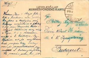 1909 Pöstyén, Piestany; Király sor, nyaralók, villák. Kohn Bernát kiadása / Villen an der Weg / villas (ázott sarok ...