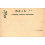 1905 Szepesbéla, Spisská Belá (Szepes, Zips); Evangélikus templom. Feitzinger Ede Auto-Chrom 559. 1902/12. ...